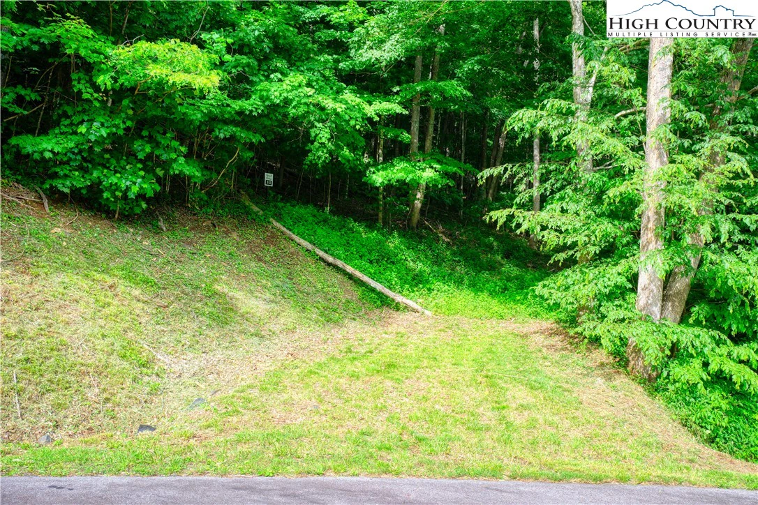 Image number 5 for the current listing