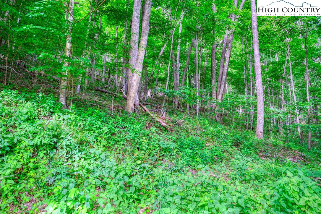 Image number 8 for the current listing