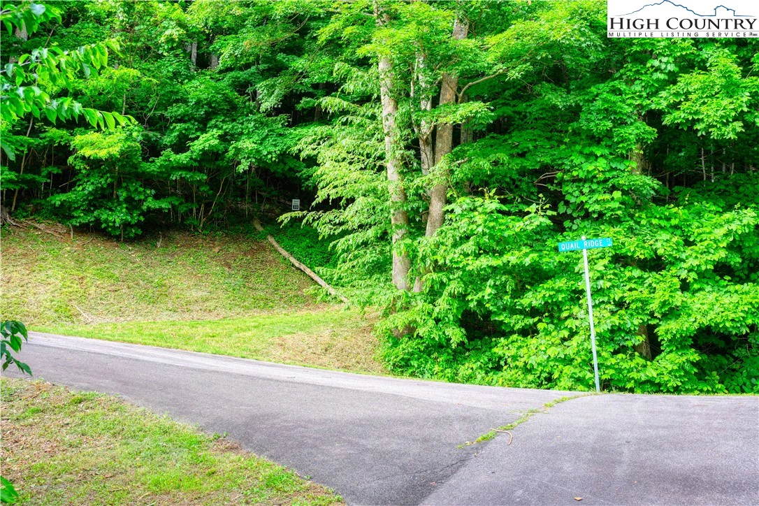 Image number 11 for the current listing