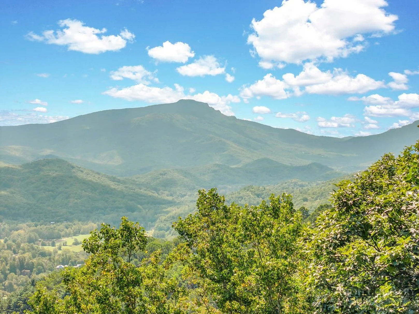 Image number 1 for the current listing