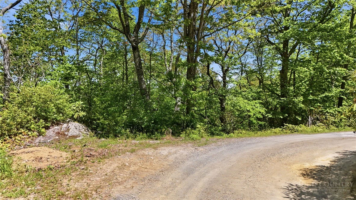 Image number 2 for the current listing