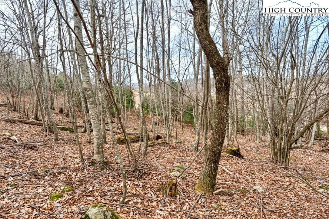 Image number 13 for the current listing