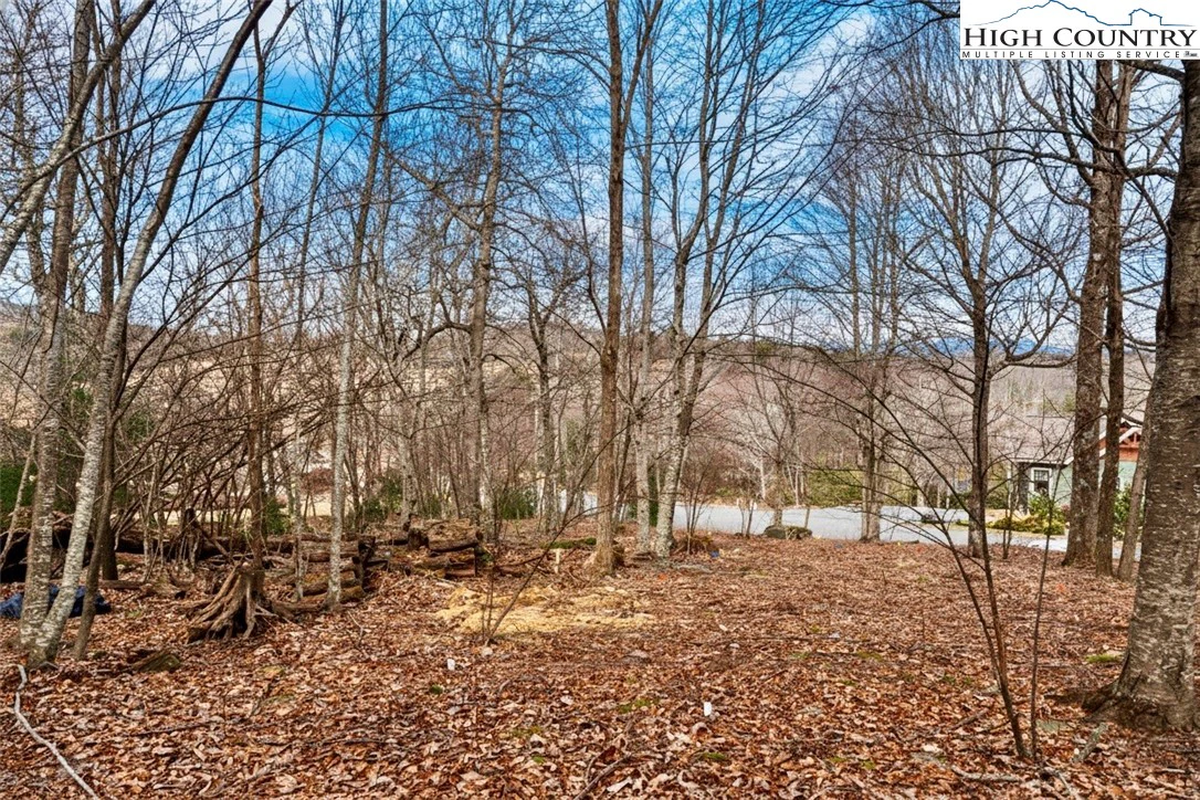Image number 7 for the current listing