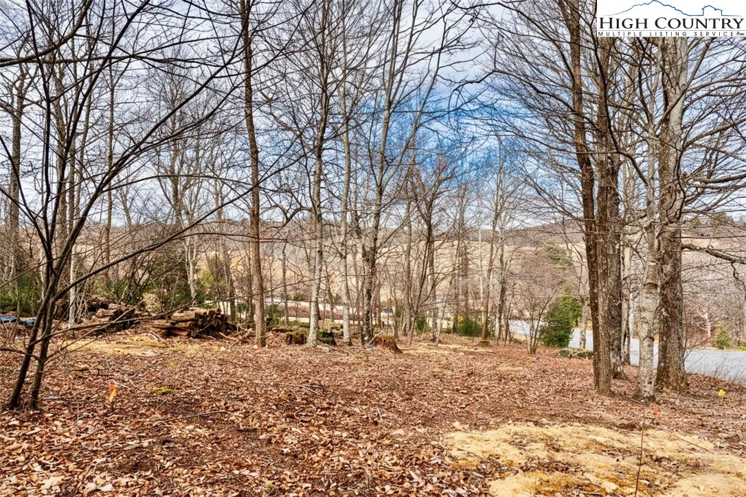 Image number 8 for the current listing
