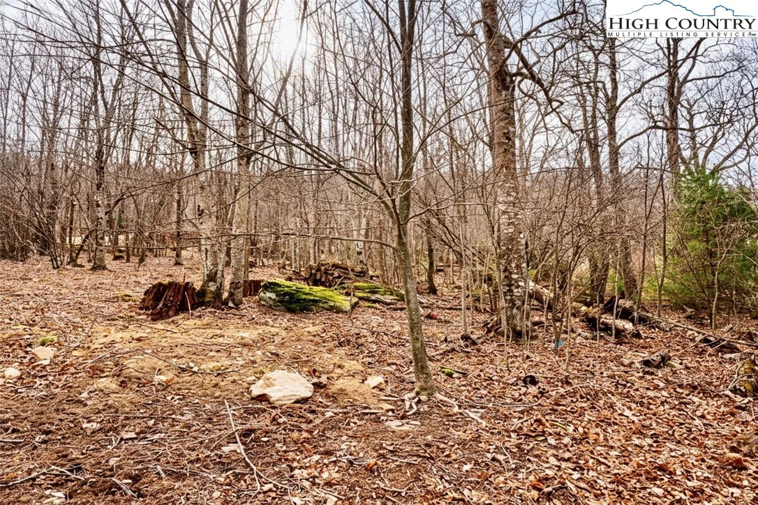 Image number 14 for the current listing