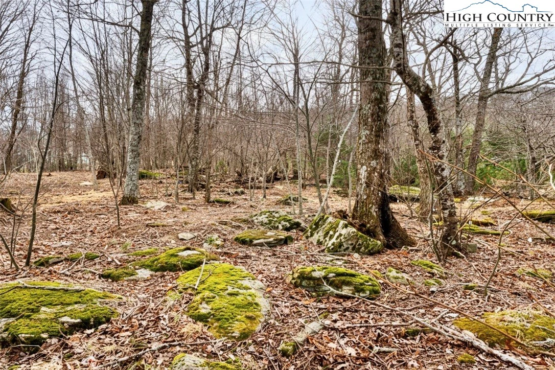 Image number 11 for the current listing