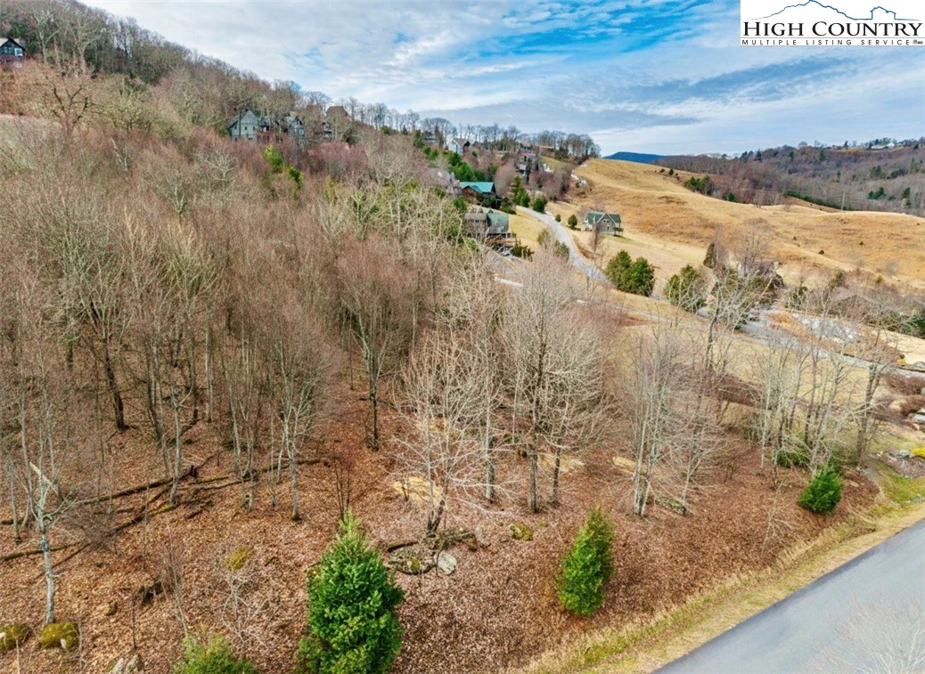 Image number 3 for the current listing