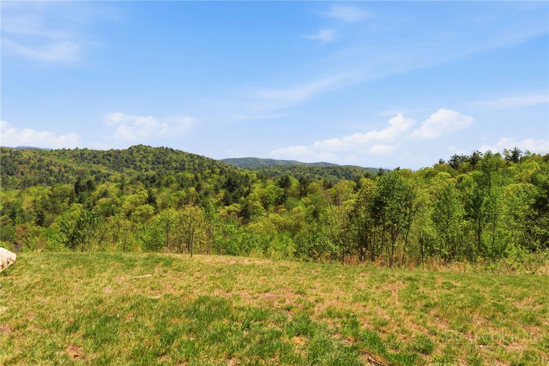 Image number 11 for the current listing