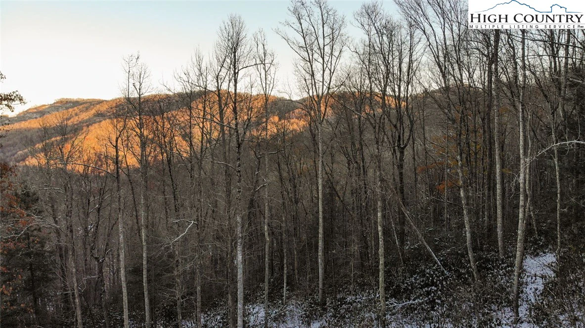 Image number 1 for the current listing