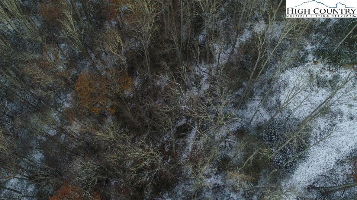 Image number 6 for the current listing