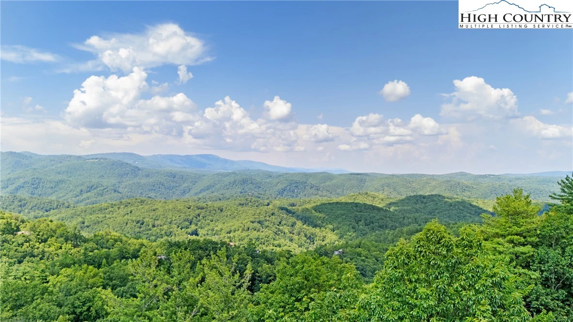 Image number 1 for the current listing