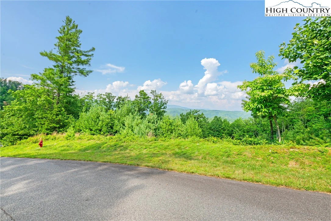 Image number 16 for the current listing