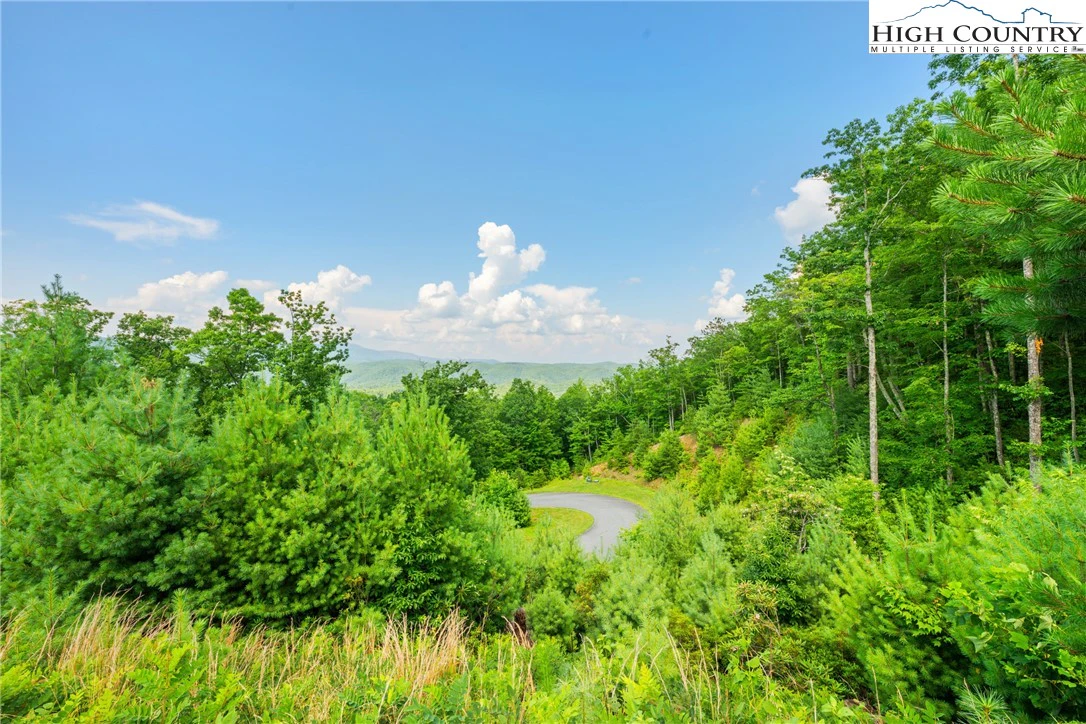 Image number 14 for the current listing
