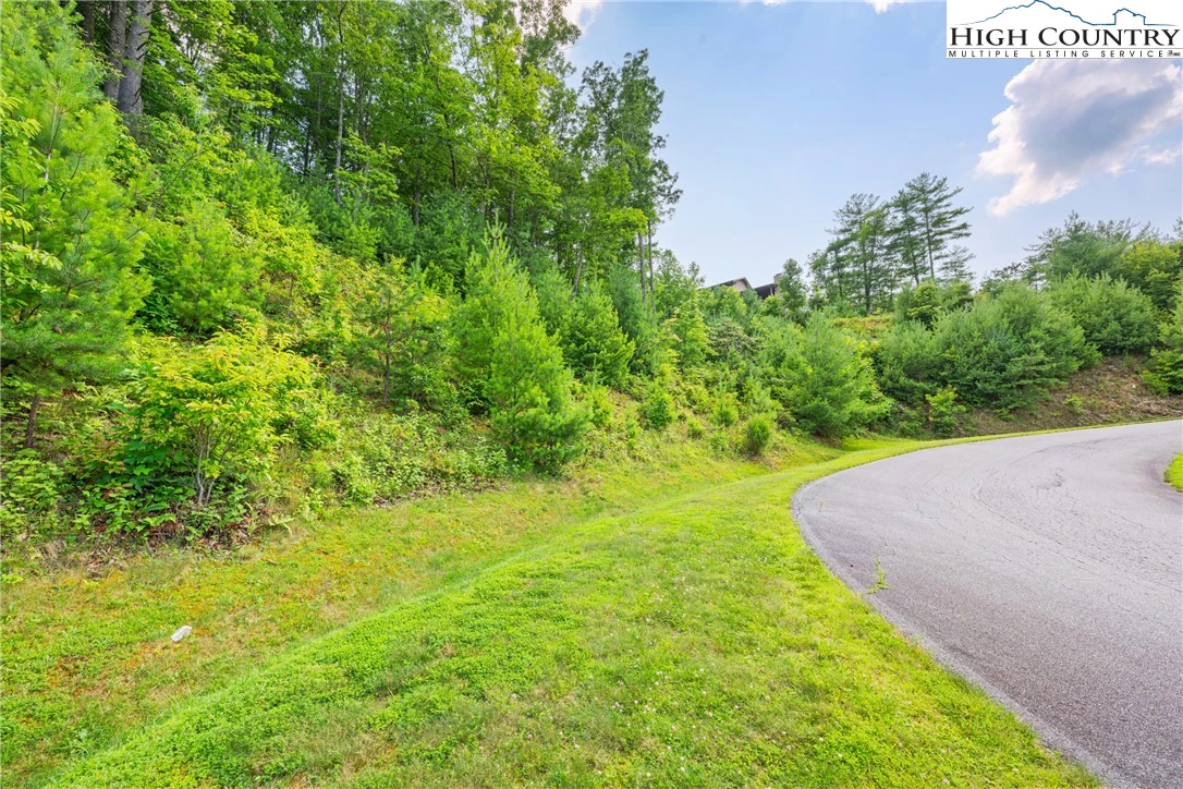 Image number 13 for the current listing