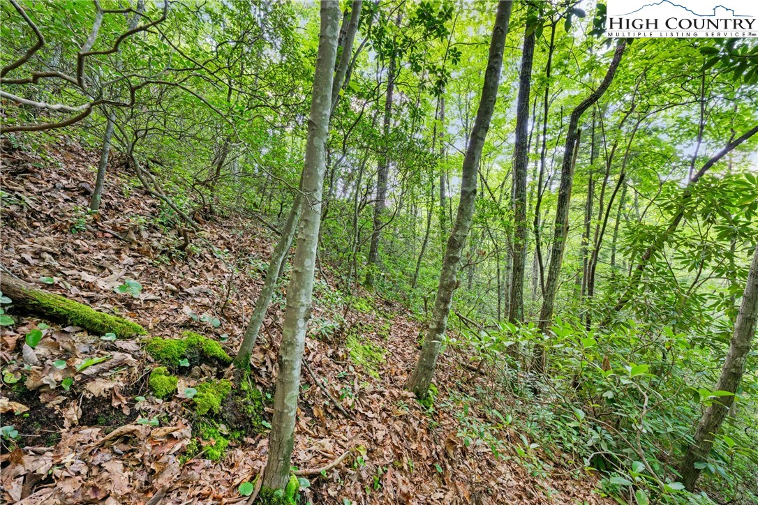 Image number 8 for the current listing
