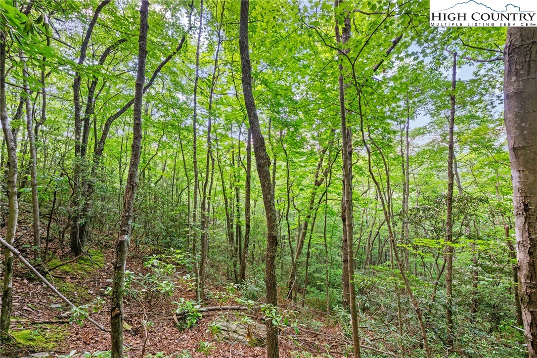 Image number 7 for the current listing