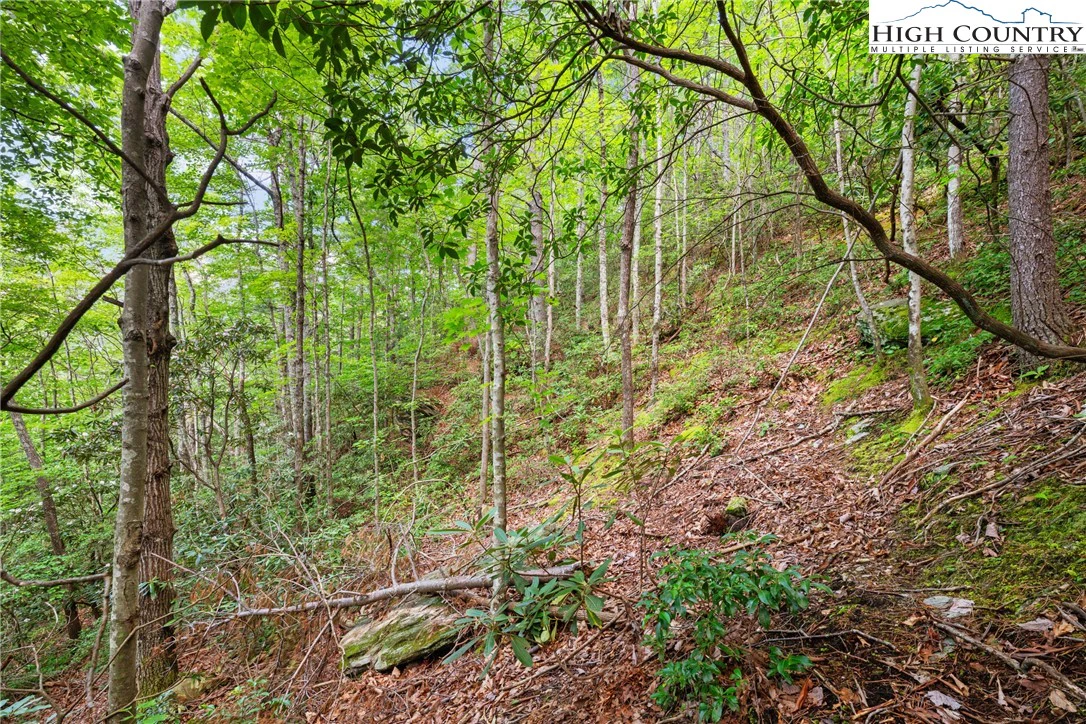 Image number 6 for the current listing