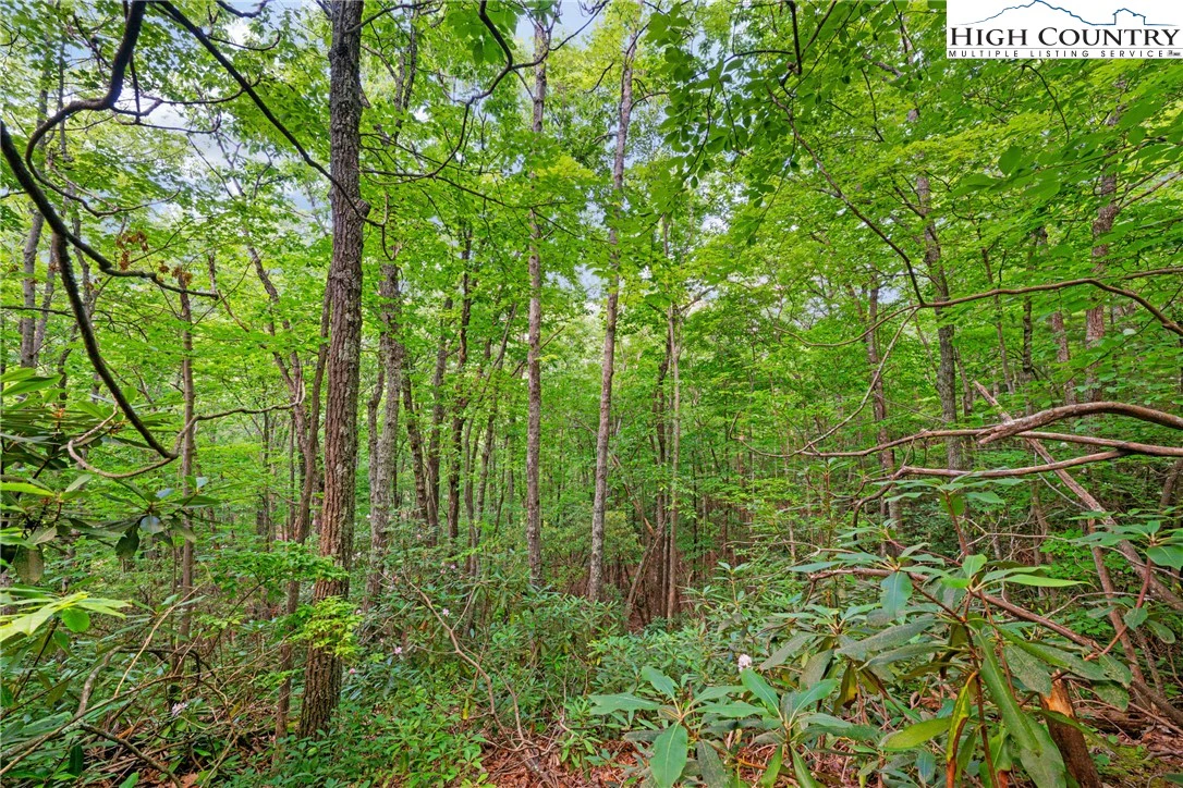 Image number 5 for the current listing