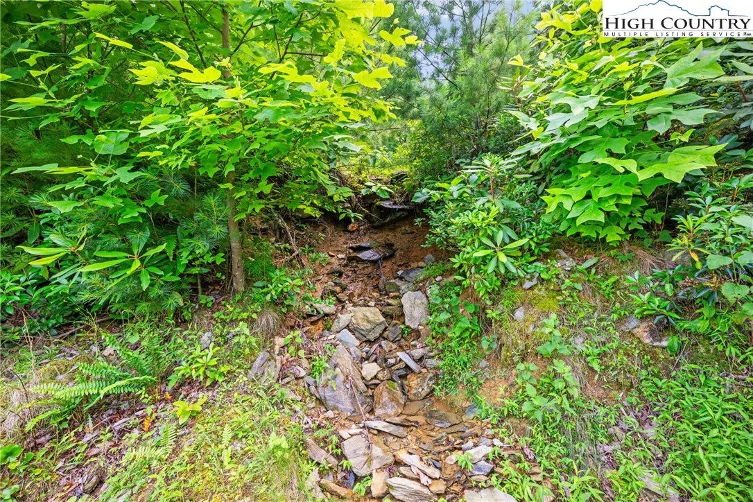 Image number 3 for the current listing