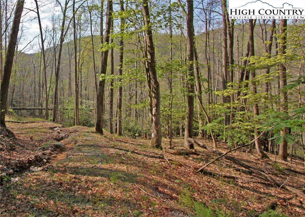 Image number 1 for the current listing