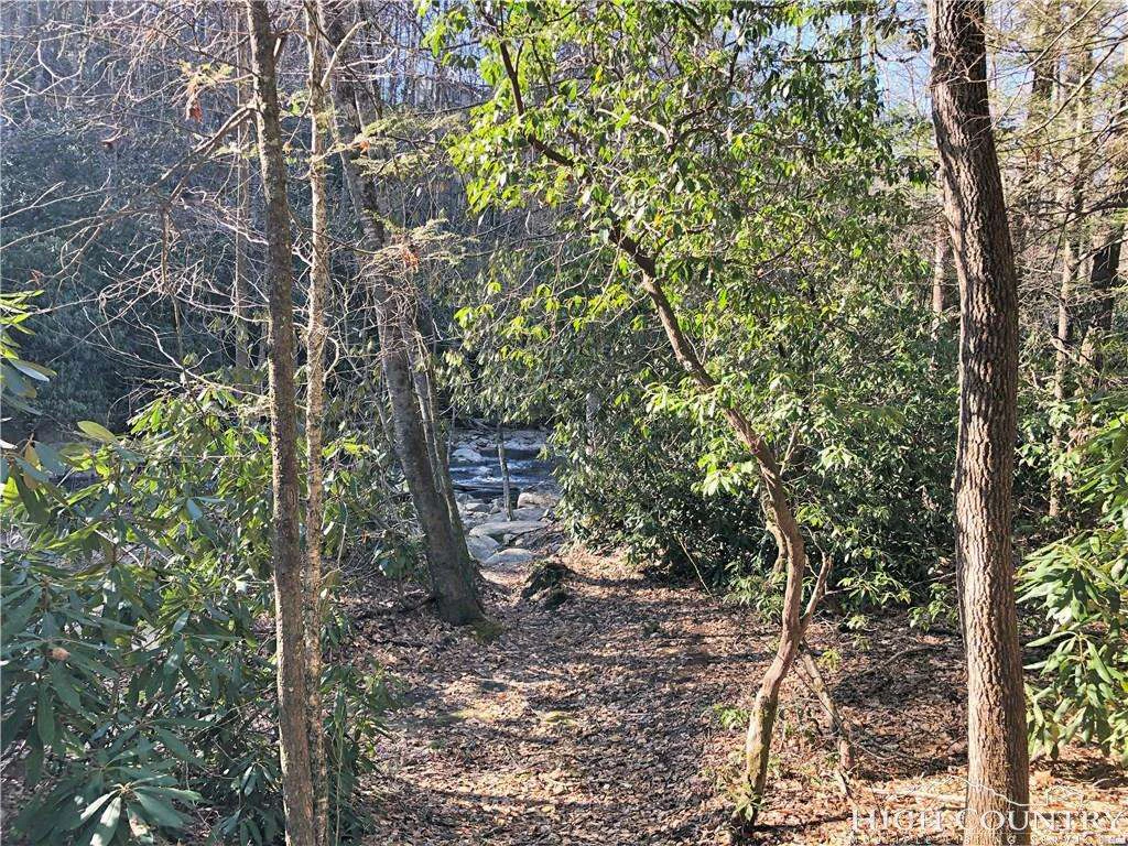 Image number 13 for the current listing