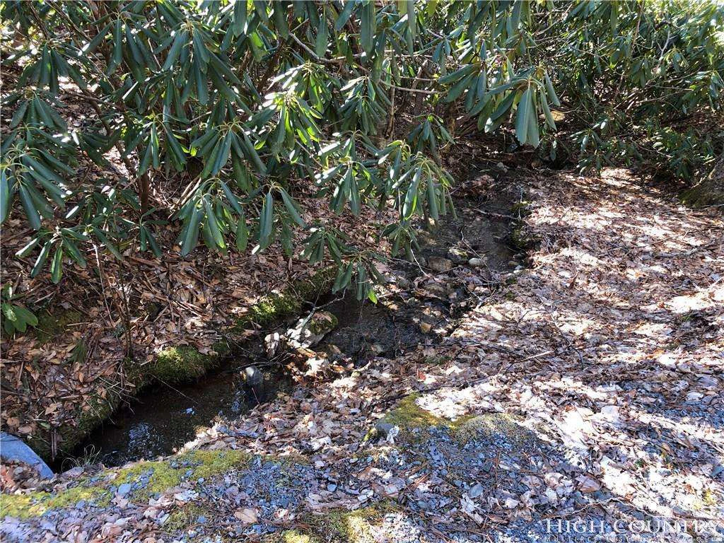 Image number 11 for the current listing