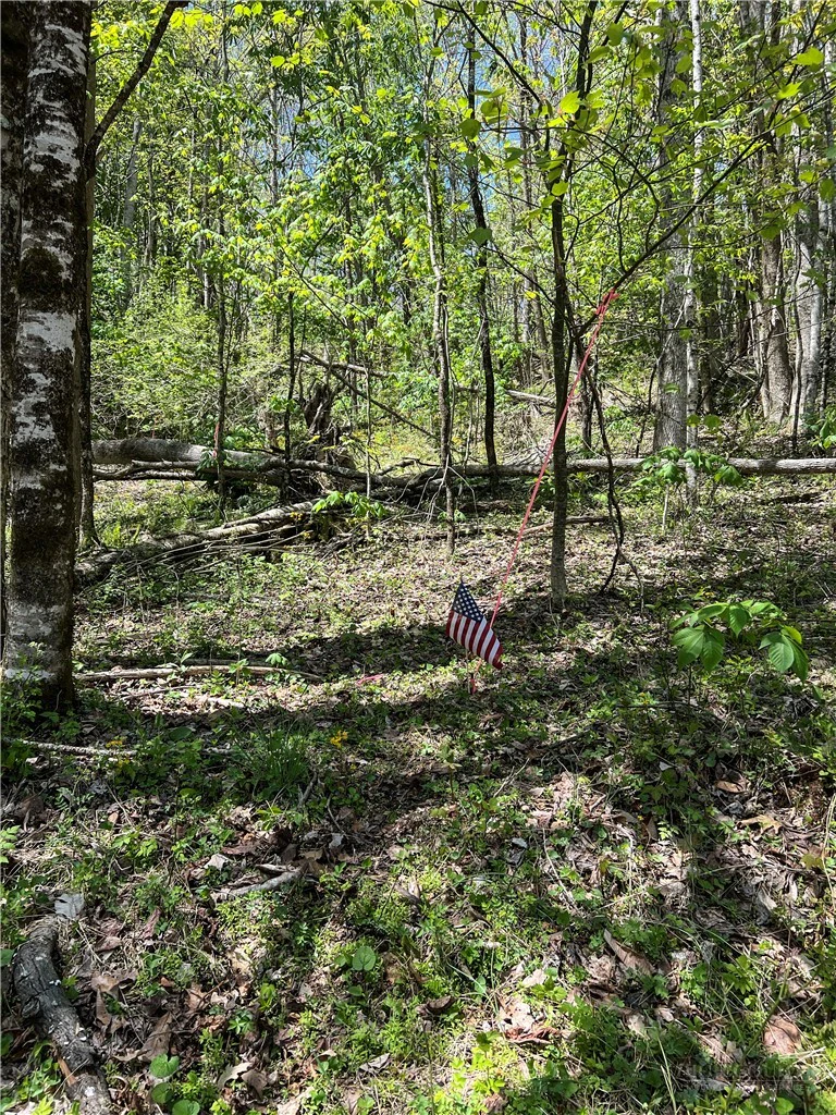 Image number 1 for the current listing