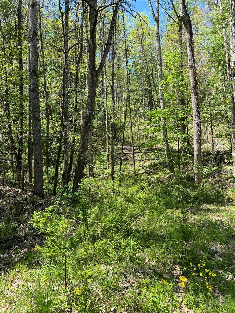 Image number 11 for the current listing