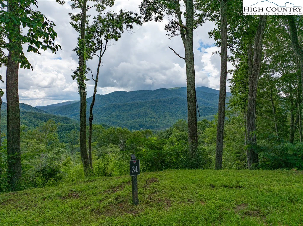 Image number 1 for the current listing