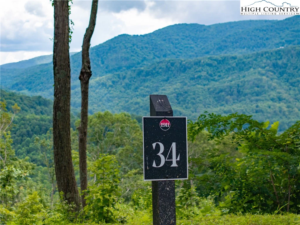 Image number 14 for the current listing