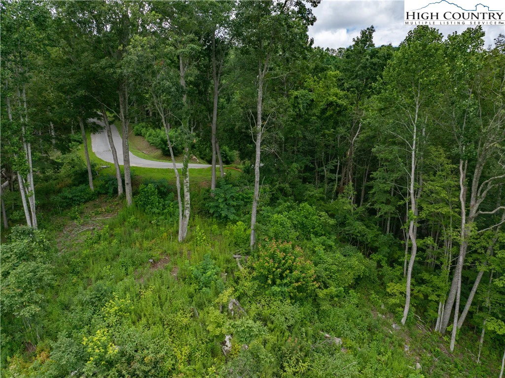 Image number 2 for the current listing