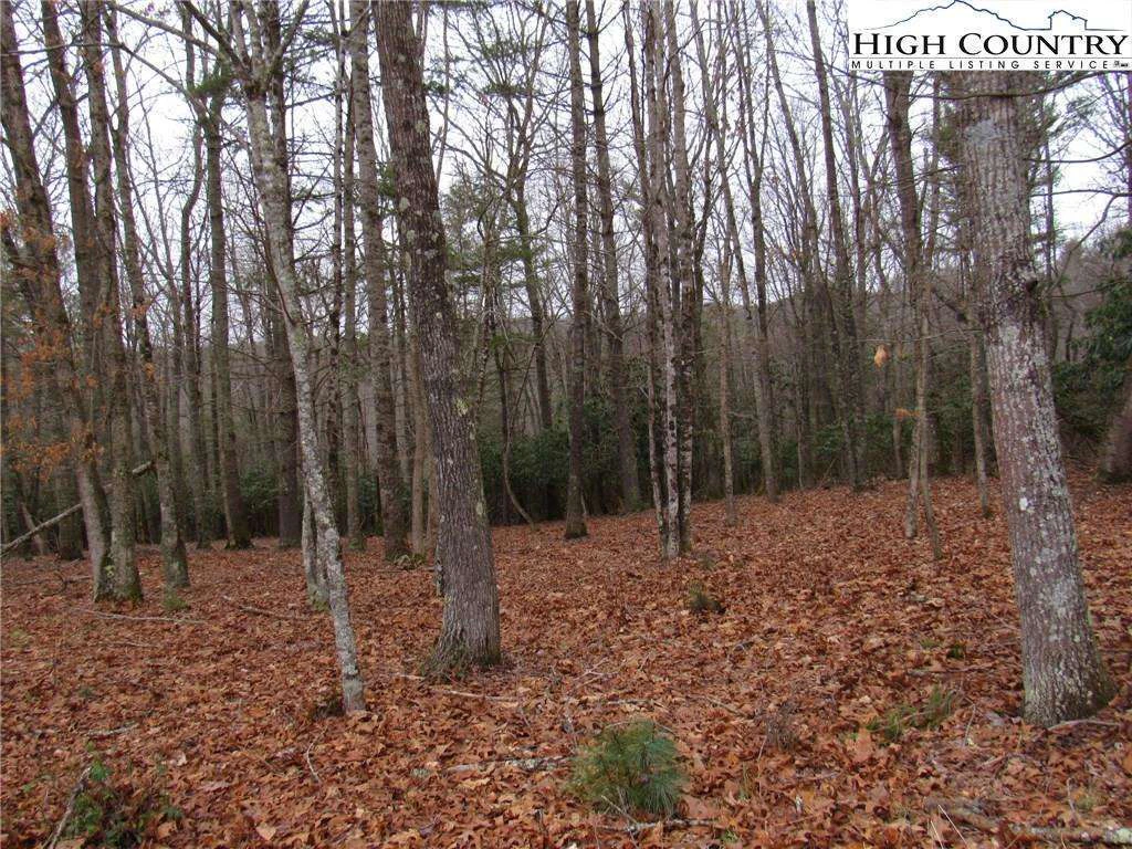 Image number 1 for the current listing