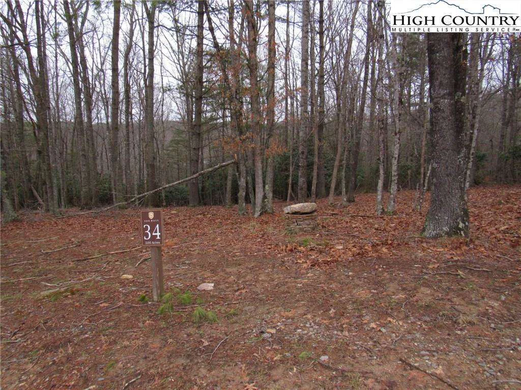 Image number 3 for the current listing