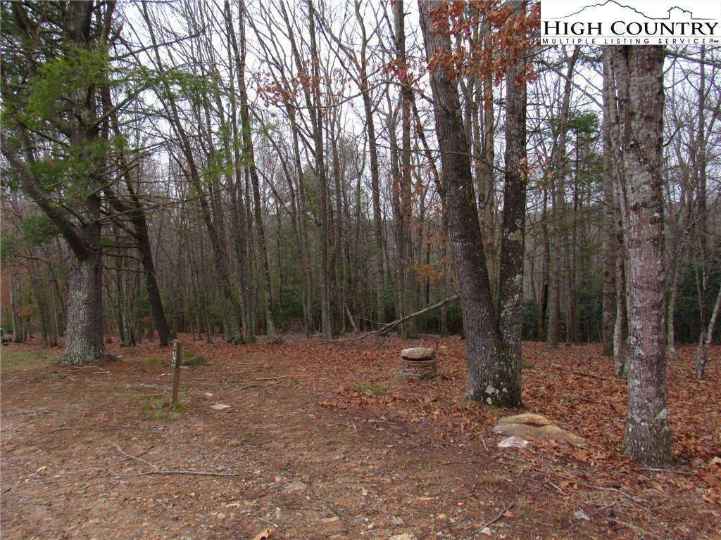 Image number 6 for the current listing