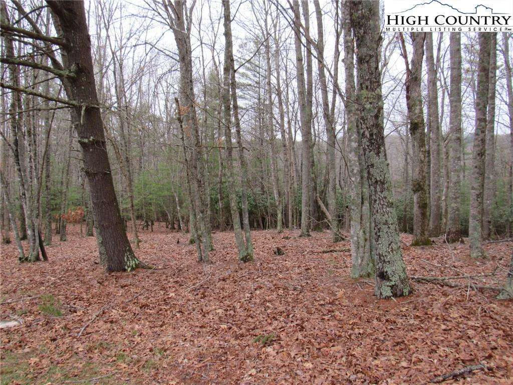 Image number 8 for the current listing