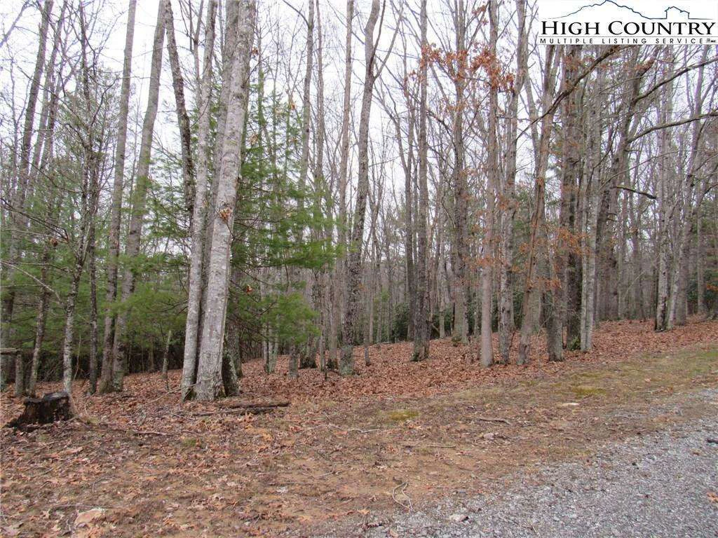 Image number 9 for the current listing
