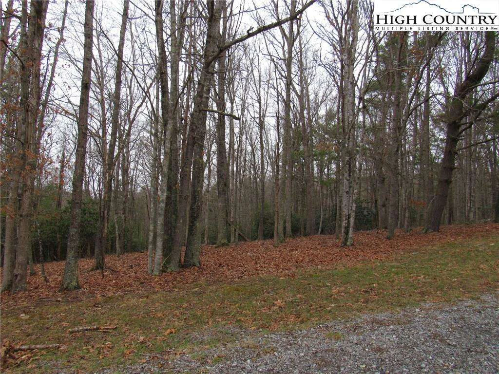 Image number 10 for the current listing