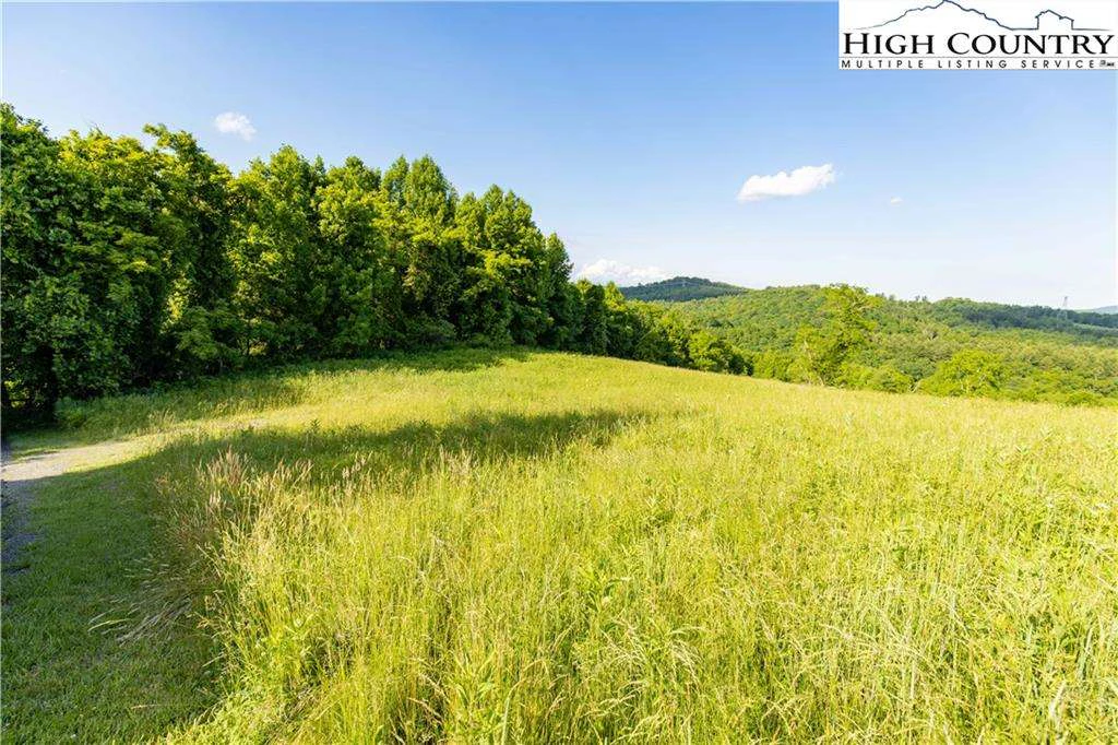 Image number 1 for the current listing