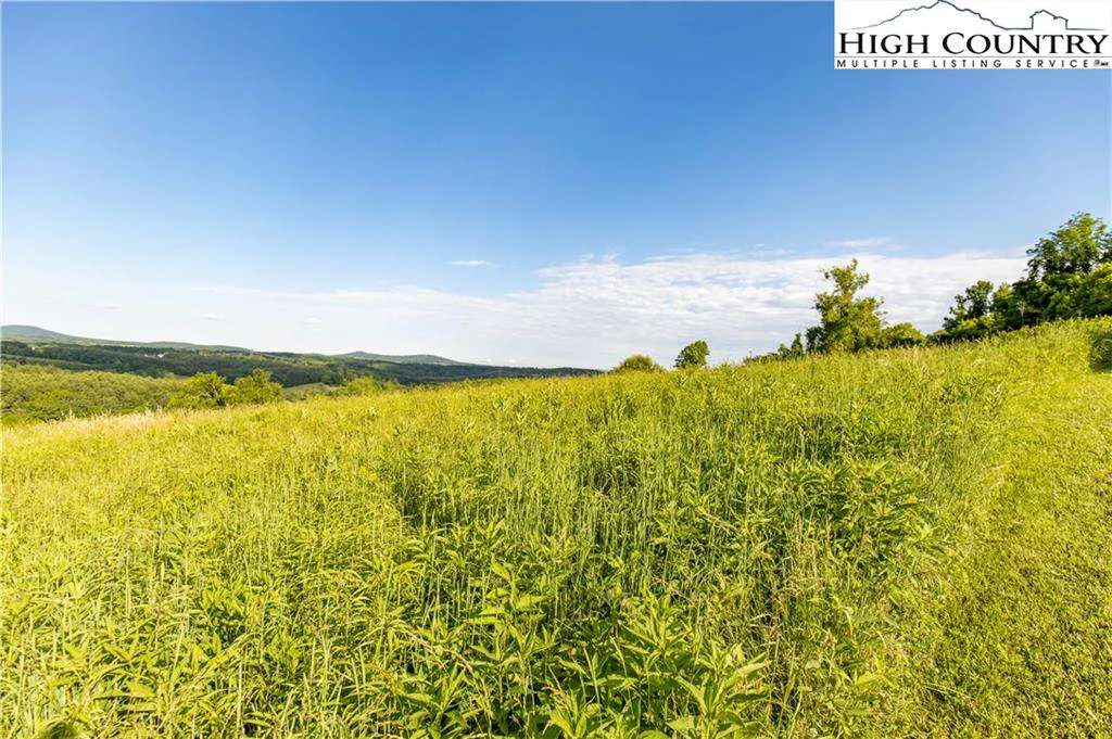 Image number 3 for the current listing