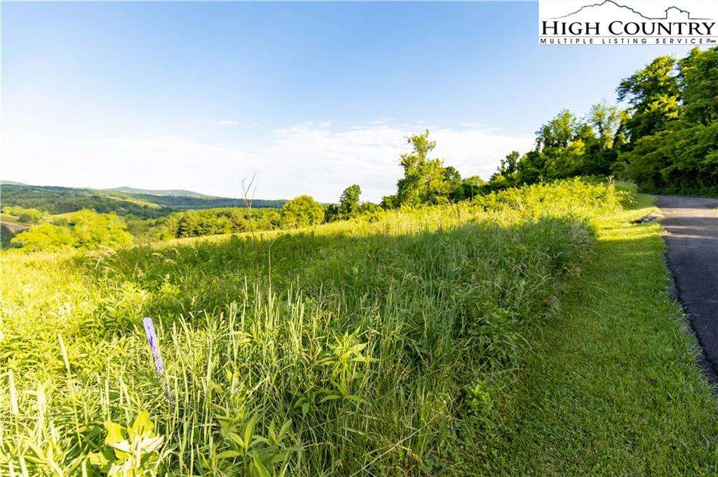 Image number 4 for the current listing