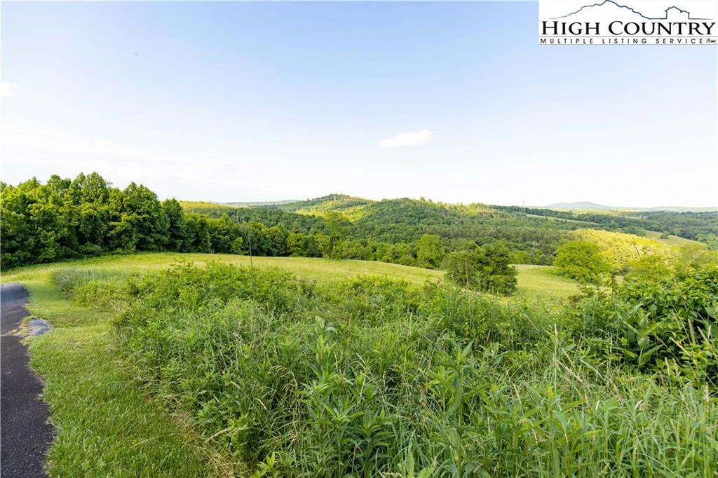 Image number 5 for the current listing