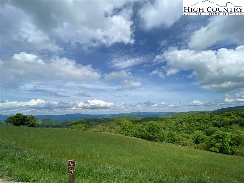 Image number 1 for the current listing