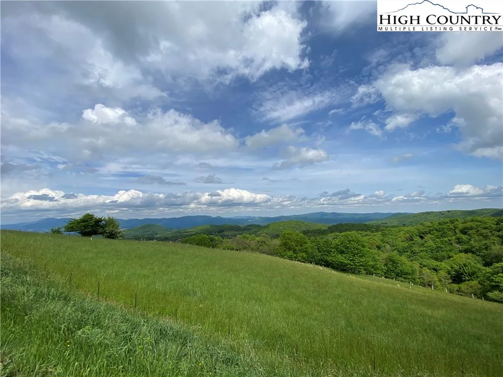Image number 4 for the current listing