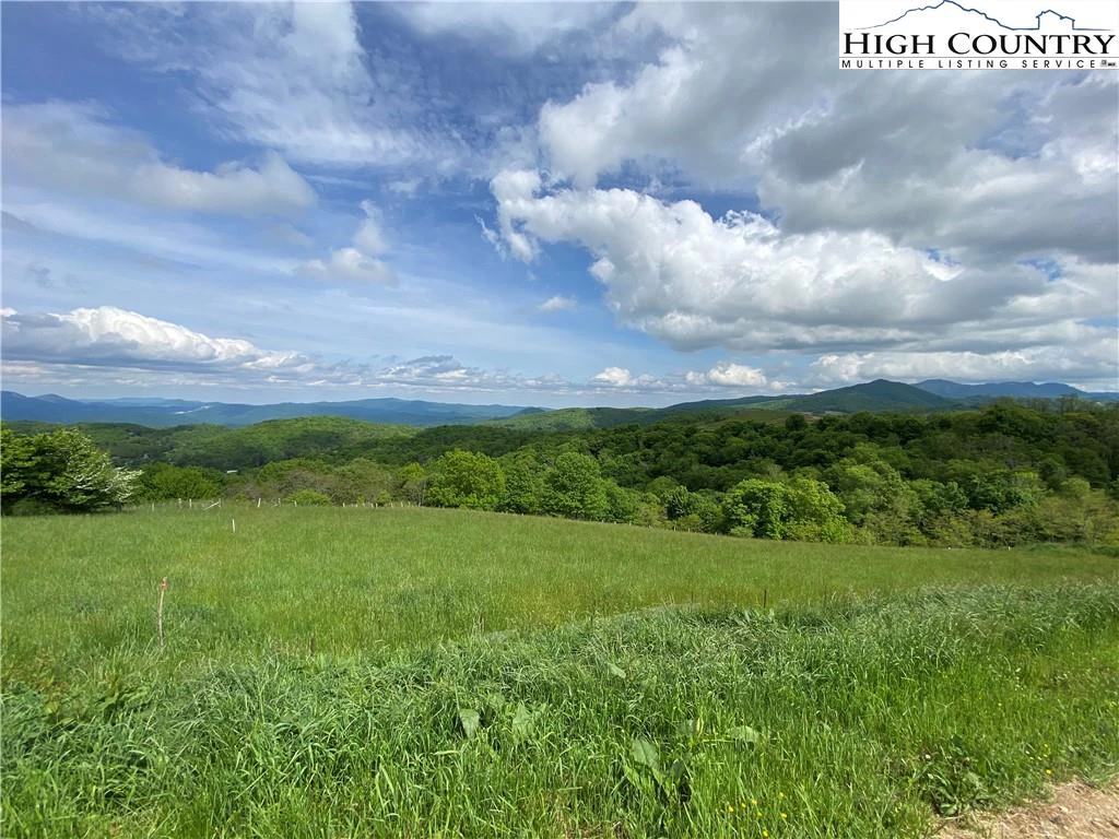 Image number 5 for the current listing