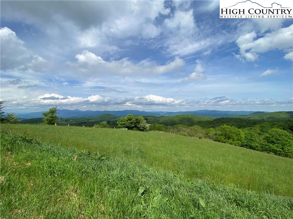 Image number 6 for the current listing