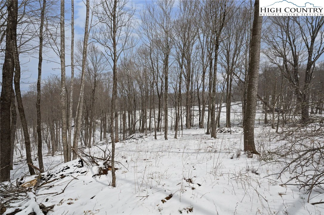 Image number 12 for the current listing