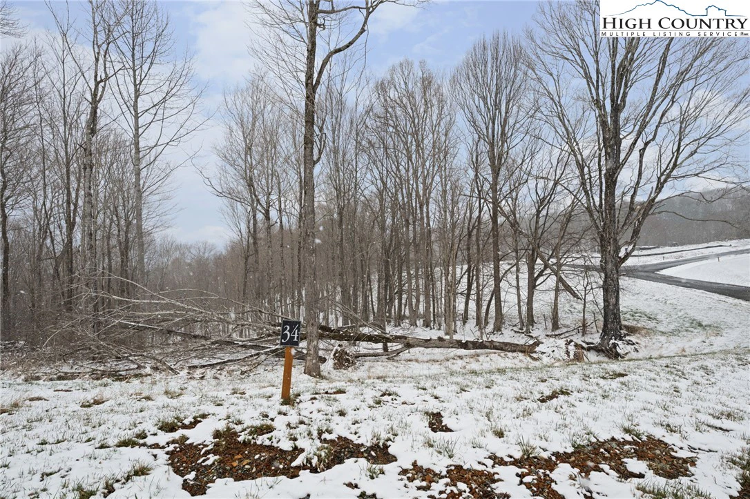 Image number 11 for the current listing