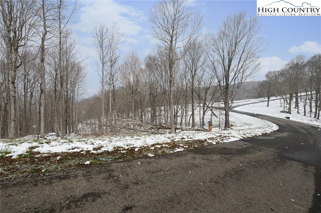 Image number 2 for the current listing
