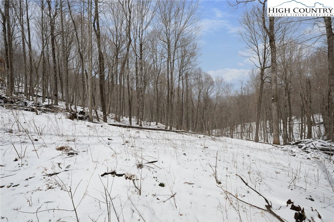 Image number 10 for the current listing