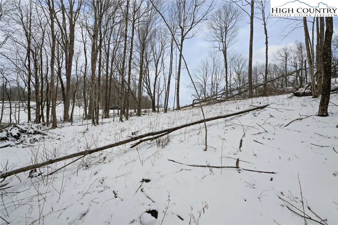 Image number 9 for the current listing